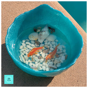 Goldfish/Koi Pond!