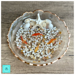 Goldfish/Koi Pond Large